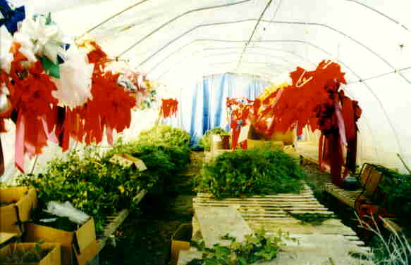 [ greenhouse. ]